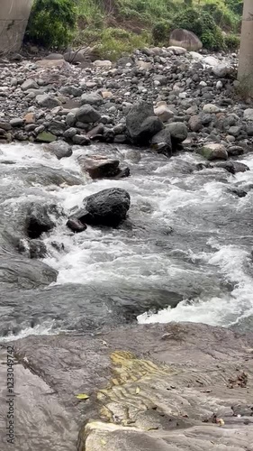 Río rocoso en día nublado, Juchique de Ferrer, Veracruz, México 