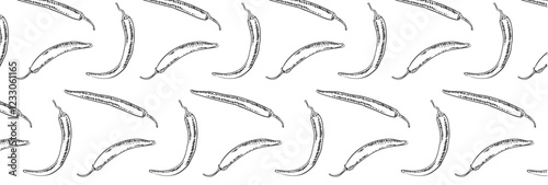 Pattern of hot chili pepper drawn with pencil or ink by hand. Sketch of spice capsaicin dish. Vector seamless background with spicy vegetable.