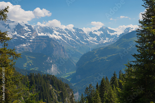 view to Lauterbrunnen valley and Bernese Alps from Schynige Platte mountain photo