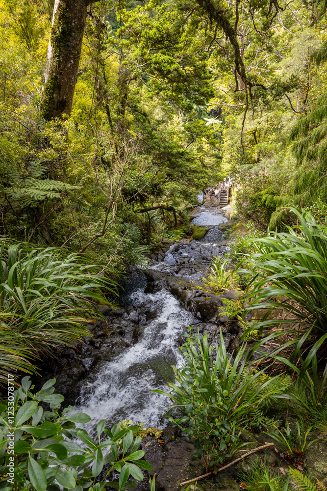 Hikers enjoy a tranquil waterfall cascading through lush New Zealand rainforest. Tranquil scene. FAIRY FALLS, WAITAKERE RANGES, AUCKLAND, NEW ZEALAND Hikers enjoy a tranquil waterfall cascading through lush New Zealand rainforest. Tranquil scene. FAIRY FALLS, WAITAKERE RANGES, AUCKLAND, NEW ZEALAND