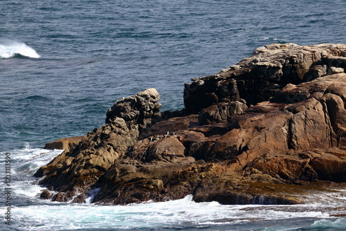 wilsons promontory photo