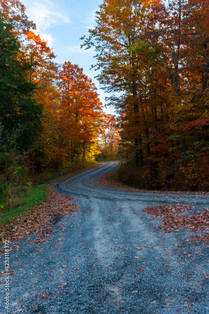 Fototapeta premium Nature Lovers