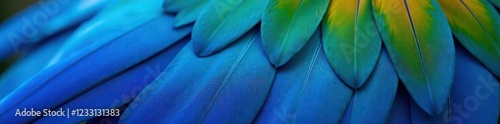Vibrant blue parrot feathers, close-up, exotic texture, photography, texture