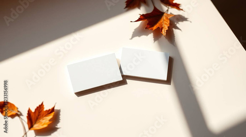 Minimalist business cards on geometric background