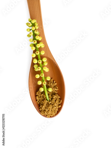 Bistorta officinalis known as bistort, common bistort, European bistort or meadow bistort on wooden spoon isolated on white background. photo