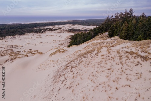High-angle view of the Oregon Dunes National Recreation Area. Vast expanse of sand dunes, with coastal forest in the distance. Nature's beauty. Dunes City, Oregon, USA photo