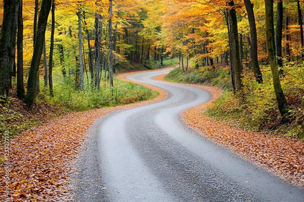 Obraz premium Autumnal Forest Road with Falling Leaves