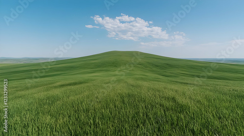 Rolling green hills under a clear blue sky.  Perfect for travel brochures
