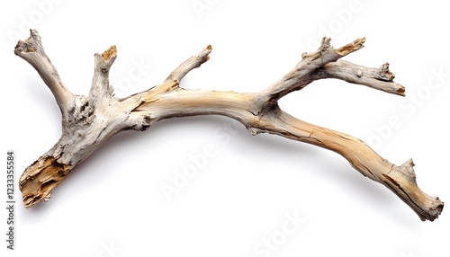 Weathered Driftwood Branch Isolated On White Background