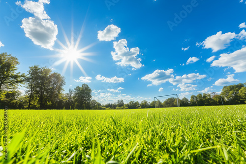 Bright Sunny Day on Soccer Field with Goalpost Under Clear Blue Sky and Lush Green Grass
