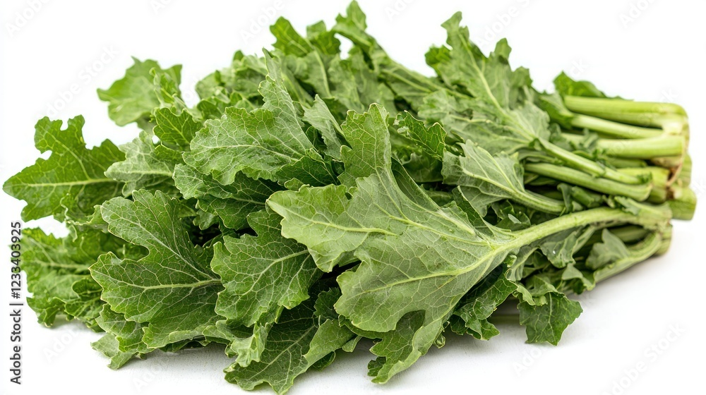 Fresh green vegetable bunch isolated on white background Fresh green vegetable bunch isolated on white background