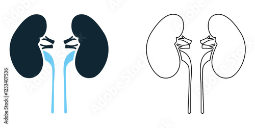 kidneys icon vector, renal health, urinary system, and medical care, healthcare, nephrology, anatomy, medical infographics and wellness pictogram symbol ui and ux design, glyphs and stroke line