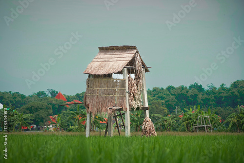 house in the countryside