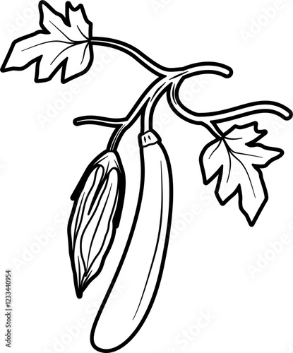 Zucchini plant outline vector