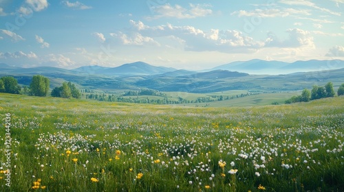 Sunny meadow with wildflowers and distant mountains.