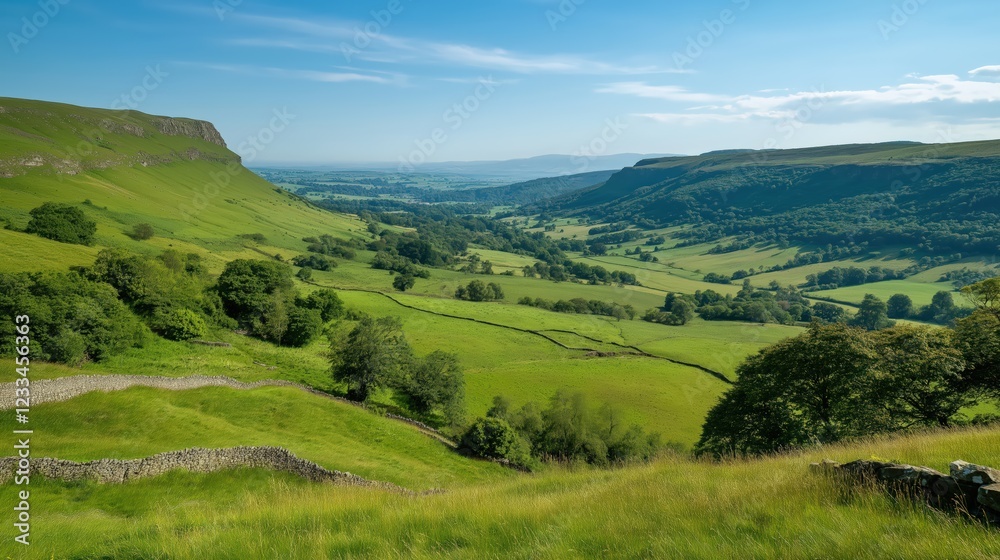 Summer Valley Landscape Lush Green Hills and Meadows Under a Bright Sky Summer Valley Landscape Lush Green Hills and Meadows Under a Bright Sky