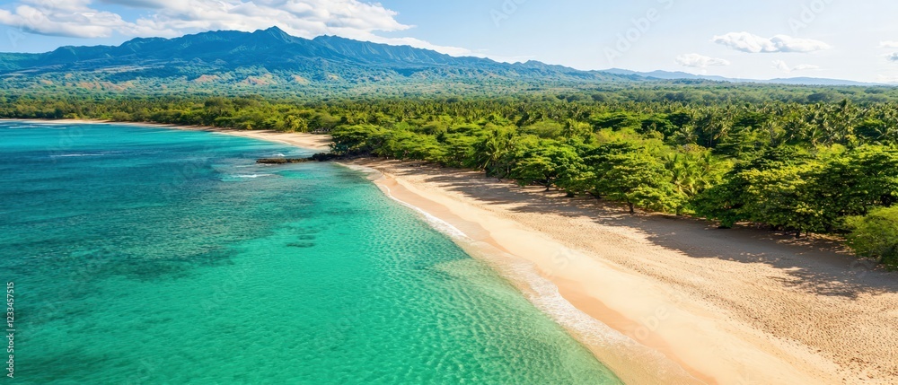 Obraz premium Aerial View of a Beautiful Tropical Beach with Clear Water and Lush Green Surroundings in Daylight