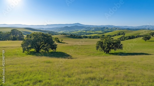 Serene Summer Landscape Bright Sunlight, Green Field, Rolling Hills, Distant Mountains