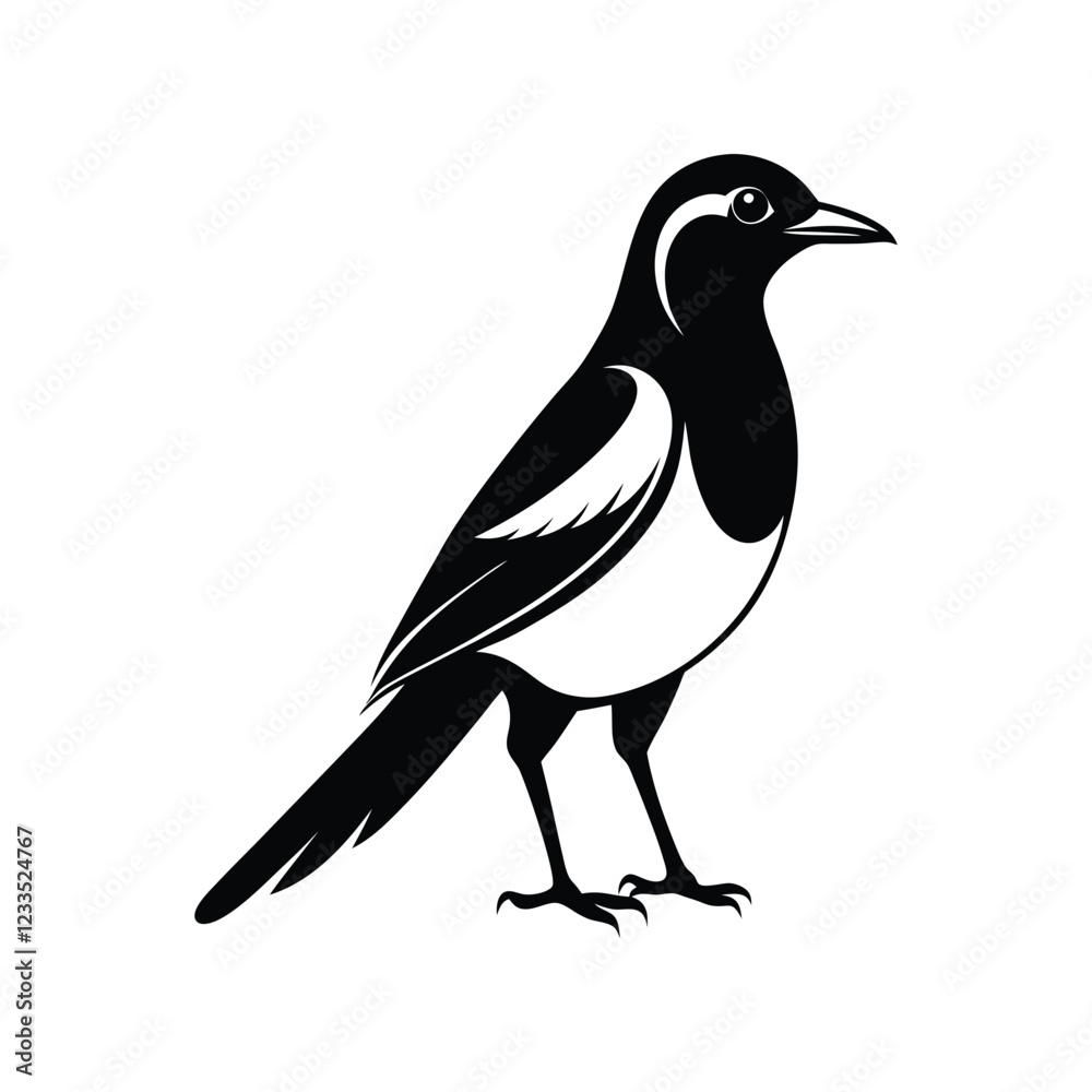 Fototapeta premium a black and white vector silhouette of a magpie bird