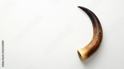 brown and white cow horn on a white background
