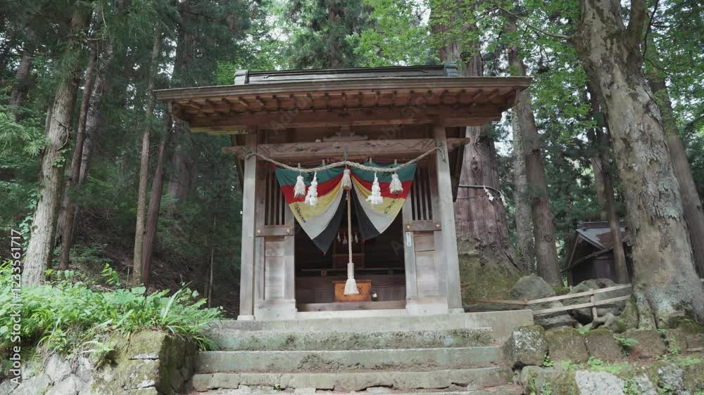 Tranquil video captures serene experience of walking through a lush forest towards sacred Kawaguchi Asama Shrine, immersing viewers in nature and Japanese spiritual heritage during the daytime. Tranquil video captures serene experience of walking through a lush forest towards sacred Kawaguchi Asama Shrine, immersing viewers in nature and Japanese spiritual heritage during the daytime.