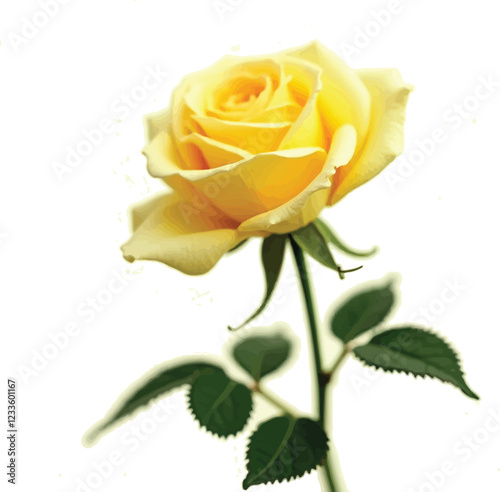 beautiful fresh yellow rose bloom