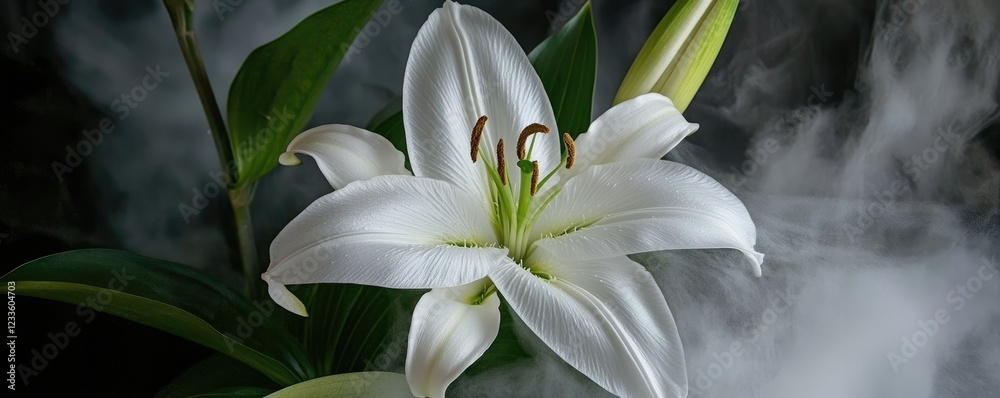 Obraz premium Elegant White Lily Surrounded by Ethereal Mist for Tranquil Nature Photography.