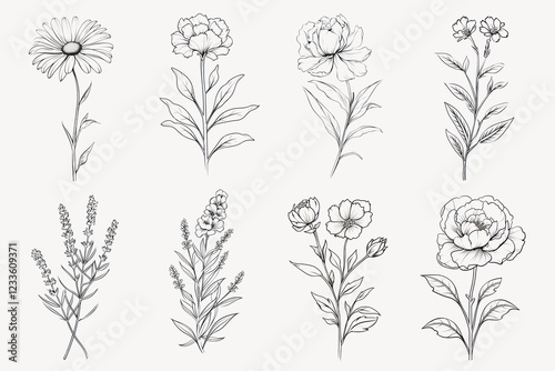 Line art flower isolated image set