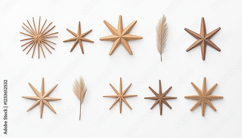 A collection of wooden star-shaped decor pieces arranged artistically on a white background A collection of wooden star-shaped decor pieces arranged artistically on a white background