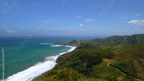 Bird eye view View of the coastline with hills and trees, cliffs, coral reefs and waves from the sea at Surumanis Beach, Kebumen, Central Java photo