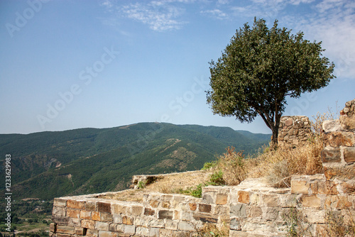 Green tree on the slope of old monastery ruins in Georgia. View of part of ruined wall of Jvari monastery. Panoramic view of Georgia nature photo