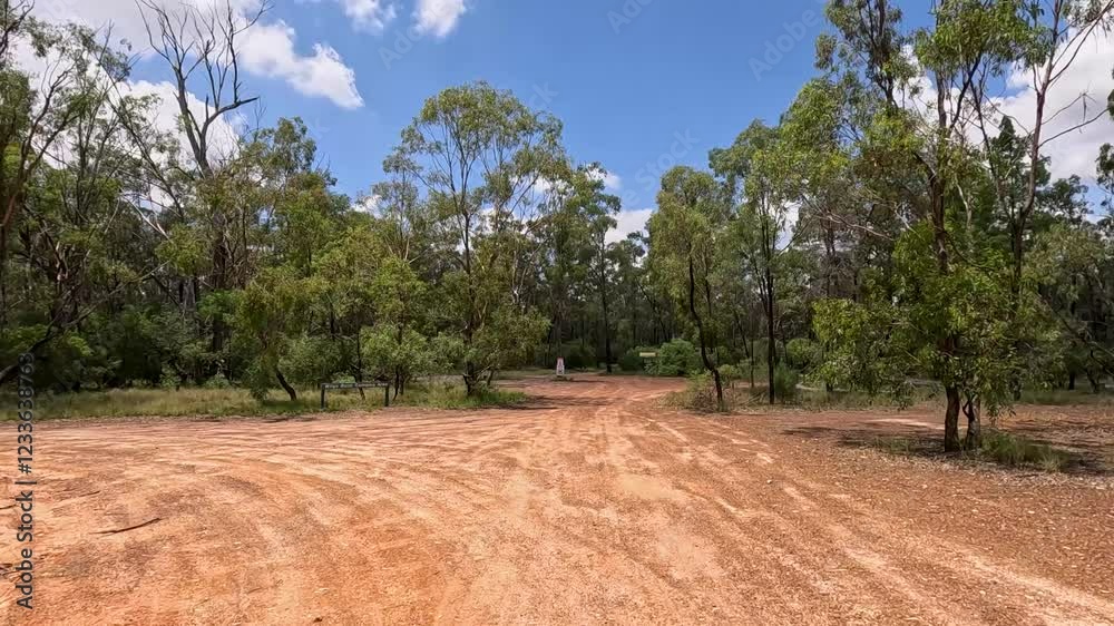 Driving Through Australian Outback Forest Driving Through Australian Outback Forest