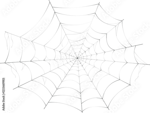 High resolution spider web