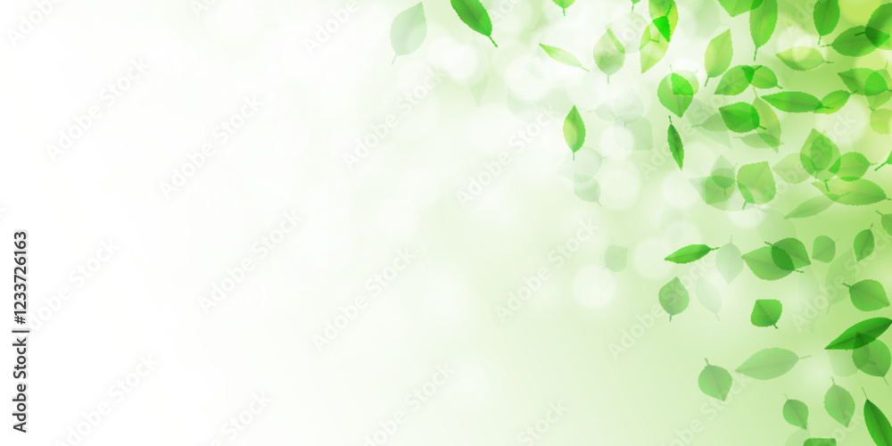 Fototapeta premium 新緑 葉 風景 背景