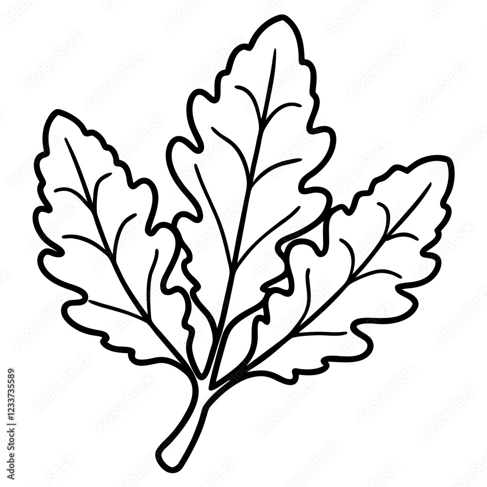 Arugula in One Line Vector Art Design Arugula in One Line Vector Art Design