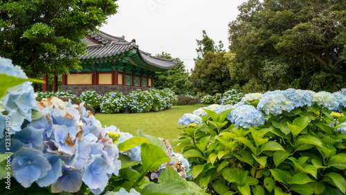 KOREA Traditional Pavilion Surrounded by Hydrangeas