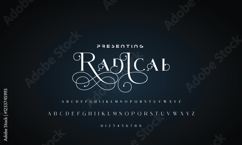 Luxury beauty font alphabet logo. Typography beautiful fashion elegant classic letters serif italic fonts wedding vintage retro casters logos. vector illustration