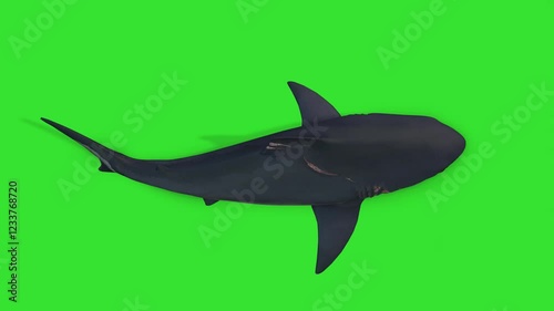 Top view slowly moving under water deep black shark green screen or chroma key video clip motion background video animation or clip