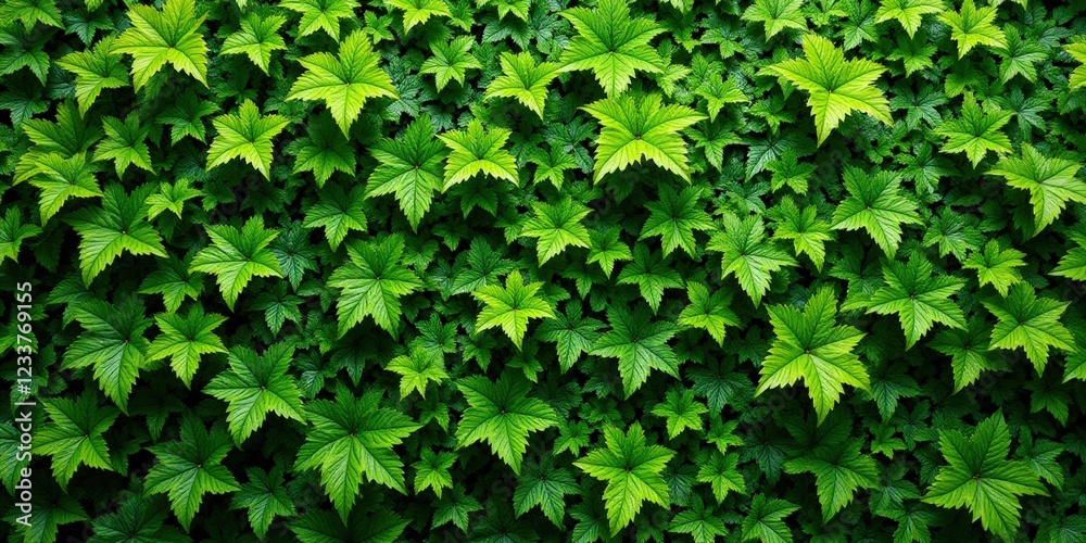 A mesmerizing cluster of dense, vibrant green leaves envelops the scene, their intricate arrangement forming an enchanting tapestry across every inch A mesmerizing cluster of dense, vibrant green leaves envelops the scene, their intricate arrangement forming an enchanting tapestry across every inch