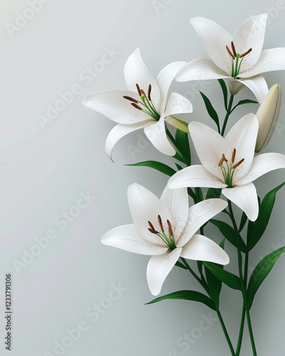 Elegant White Lilies Bloom on a Soft Gray Background with Green Leaves and Brown Pistils