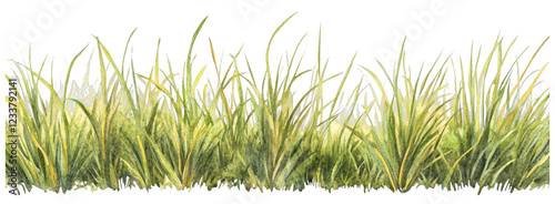 Tropical Savanna Grass in Watercolor Style, Isolated Design for Artistic and Nature Projects