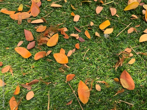 green grass background, green ground with orange gold dried leaves on ground, autumn leaves on the ground, yellow leaf