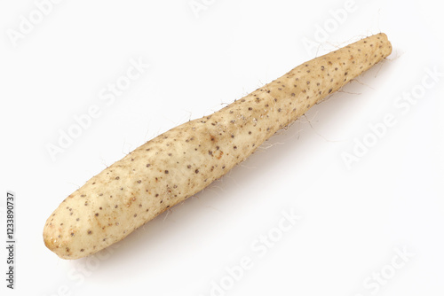 白背景の長芋