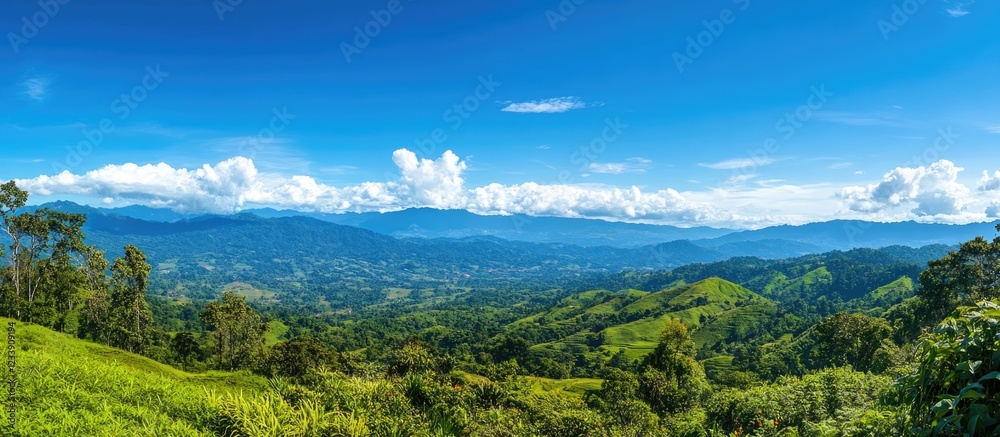 Fototapeta premium Panoramic view of lush green hills and valleys under a clear blue sky with scattered clouds Copy Space