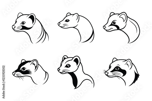 Black-Footed Ferret (Mustela nigripes) animal design, labeled line art vector art illustration.