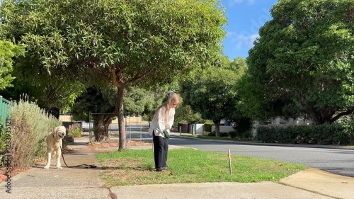 Cleaning dogs excrement on street