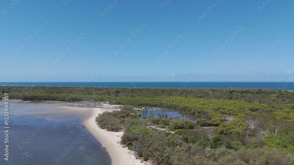 Mangroves Along a Coastal Ocean Mangroves Along a Coastal Ocean