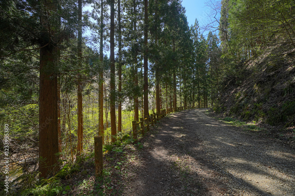 Obraz premium 岩神ふれあいの森