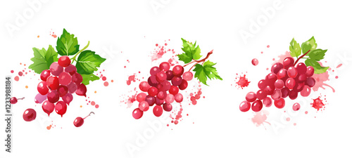 Red Grapes  Splash Vector Illustration