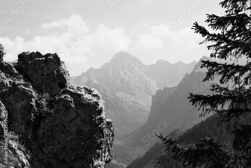 Fototapeta Naklejka Na Ścianę i Meble -  Summer in Tatry mountains